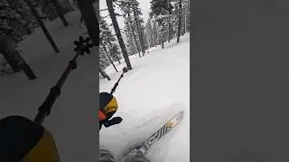 Mission Ridge was superfun #trending #skiing #skiingislife #snow #snowlovers #loveskiing #freeskiing