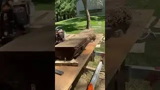 Slicing Up a Black Walnut Log!! #milling #walnut #chainsawmill #sawmill