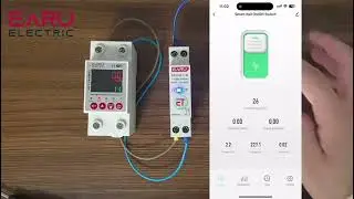 Tuya WiFi Smart Circuit Breaker MCB 1P+N 63A Timer Power Energy kWh