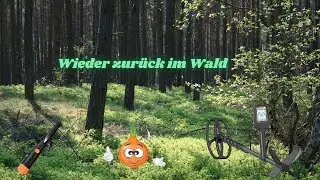 Mit dem QUEST X5  im Wald unterwegs. #Sondeln #Schatzsuche #Quest X5 😎😀