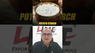 Potato Starch Export: The Untapped Market Opportunity 🥔 #limeinstitute #importexport #potatoexport