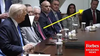 Trump Asked If Waltz Should Apologize After Signal Group Chat Leak—Right In Front Of Waltz Himself