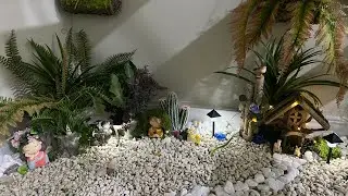 Beautiful mini garden under stairs design ❤️ #forest #nature #relaxing #garden 