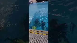 My scuba diving try dive lesson