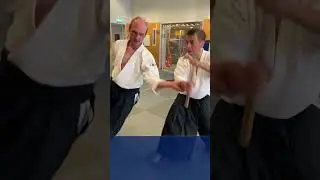 Aikido Tachi Waza Nikyo Ura practice #aikidotechniques #martialarts #denhaag #thehague