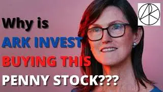 ARK INVEST Is Buying This Penny Stock?? | Best Penny Stock To Buy Now 2020