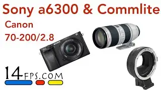 a6300 with Commlite adapter and Canon 70-200 f/2.8 IS ii