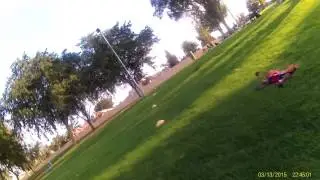 Betaflight with the Naze 32 rev6 and little bees