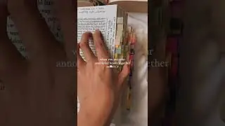my prized annotated book collection 🥹✨