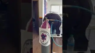 Marijuana Seed Connect (Tempe, AZ 85281) Co2 Trimmer