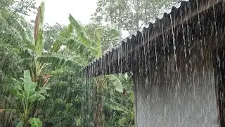 Super Heavy Rain Sounds Fall Asleep Instantly, Deep Sleep and Stress Relief
