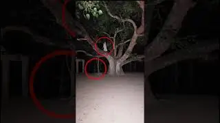 real ghost video great gaurav tiwariSteve huff ips
