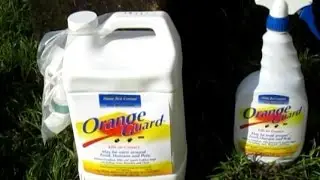 Orange Guard Organic Ant Spray is my favorite bug killer pesticide