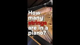 How many strings does a piano have?? #shorts