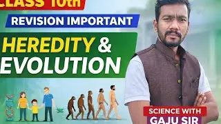 # important revision heridity and evolution 