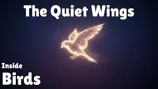 101 Gentle Facts About Birds for Deep Sleep | Science for Sleep