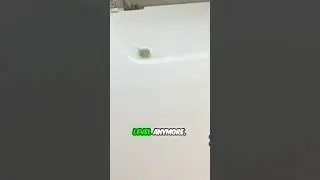 Printer Says No Ink? Try This Simple Trick!