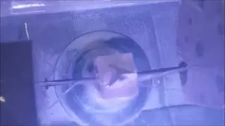 fresaggio di 4 frontali superiori