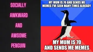 Socially awkward and awesome penguin - meme compilation