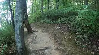 Rocky Gap - Lakeside Loop Trail - Section 3 - 2024-08-15