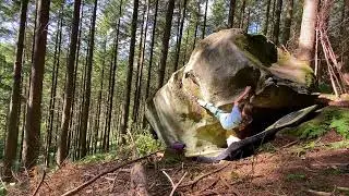 Ferschweiler - Wegelagerer 7A (D&uuml;sterwald / Wegelagerer)