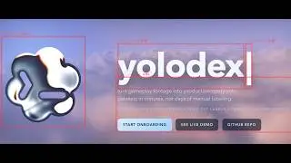 yolo dex