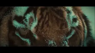 Nanga Parbat // Demon In The Snow [Lyrics Video]