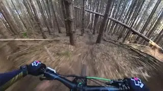 Hammock to Roller , Хамака , Off Camber , Ролеркостер 25.04.2025