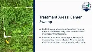 Great Lakes Slender False Brome Working Group