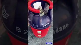 Plastic gas cylinder ! Indane composite cylinder #indane_gas #cylinder