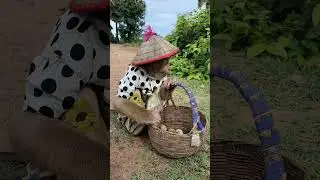 Great Farmer SokYaa Eating Fruits At Field #shorts