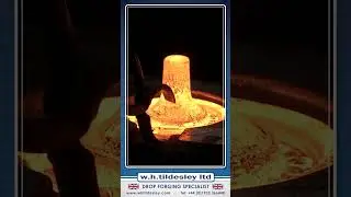 W.H.Tildesley Drop Forging Specialist - Forged Flange Blanks - L313
