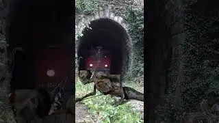 Ghost trying stops the train#shorts