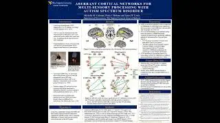 Aberrant cortical networks for multi-sensory processing with Autism Spectrum Disorder