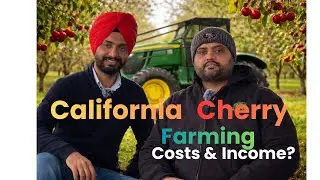 ਕੀ ਪੰਜਾਬ ਵਿੱਚ ਹੋ ਸਕਦੀ California Cherry Farming? | Understand Costs and Profits|