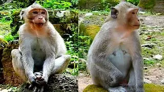 Orphan Beautiful Jazzy and Lovely Jonna's Life