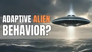 USO and Alien Adaptive Behavior  The Richard Dolan Show