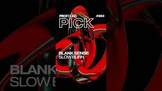 Blank Sense - Slow Burn 🔥 [PROFOUND PICK #063] #shorts #techhouse #profound