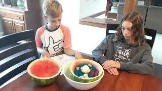 A & A cell model part 2