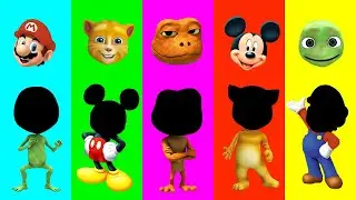 Wrong eyes👀 challenge DAME TU COSITA Funny Puzzle Wrong Heads