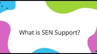 What is SEN support?