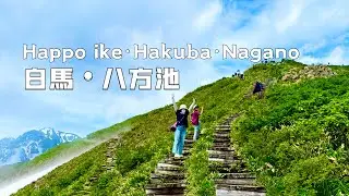 Hiking in the Japanese Alps: Easy Day Trip to Happo Pond｜#八方池 #Nagano #hakubavalley #白馬三山