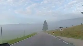 Arrival at Pian Cansiglio I, mist, Veneto, Italy, 23/10/23 #veneto #cansiglio