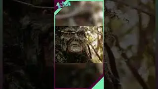 Nobody Cares About SWAMP THING | Part 1