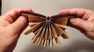 Mini Pop-up Book 