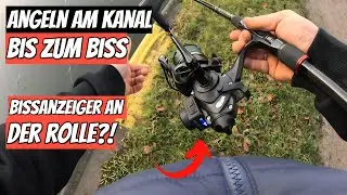 Angeln am Kanal auf alles was beißt [ Bis zum Biss ] Bissanzeigerrolle Test 