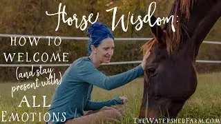 Feeling Your Way to the Light: an Equine Inspired Journey into Seeing Emotions as Messengers
