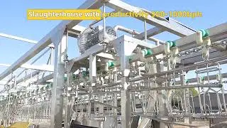 compact containerized auto chicken slaughtering line
