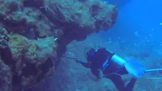 Lion Fish Hunters