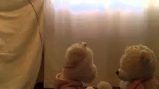 Teddy Ninja ATTACK !